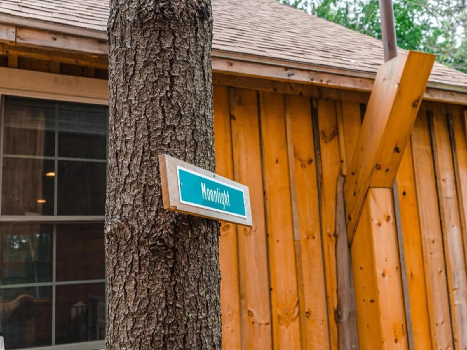 Moonlight Treehouse At Belgrade Hospitality Villa Luaran gambar