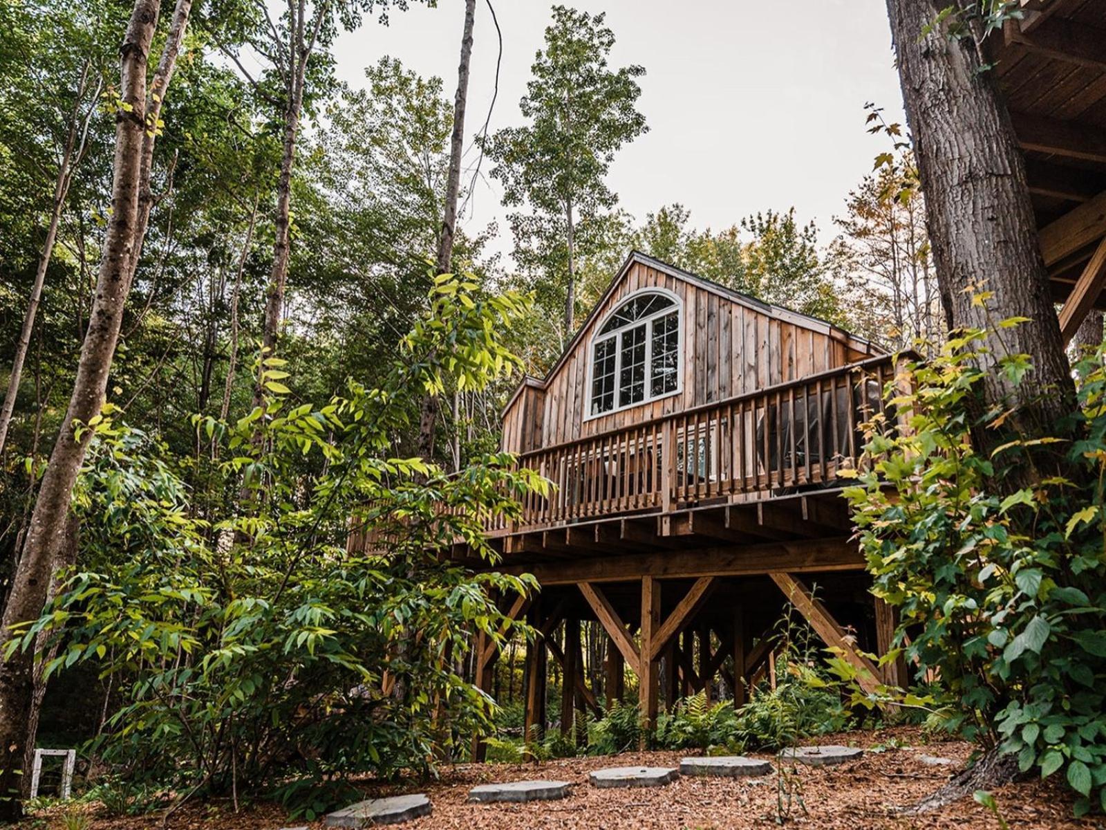 Moonlight Treehouse At Belgrade Hospitality Villa Luaran gambar